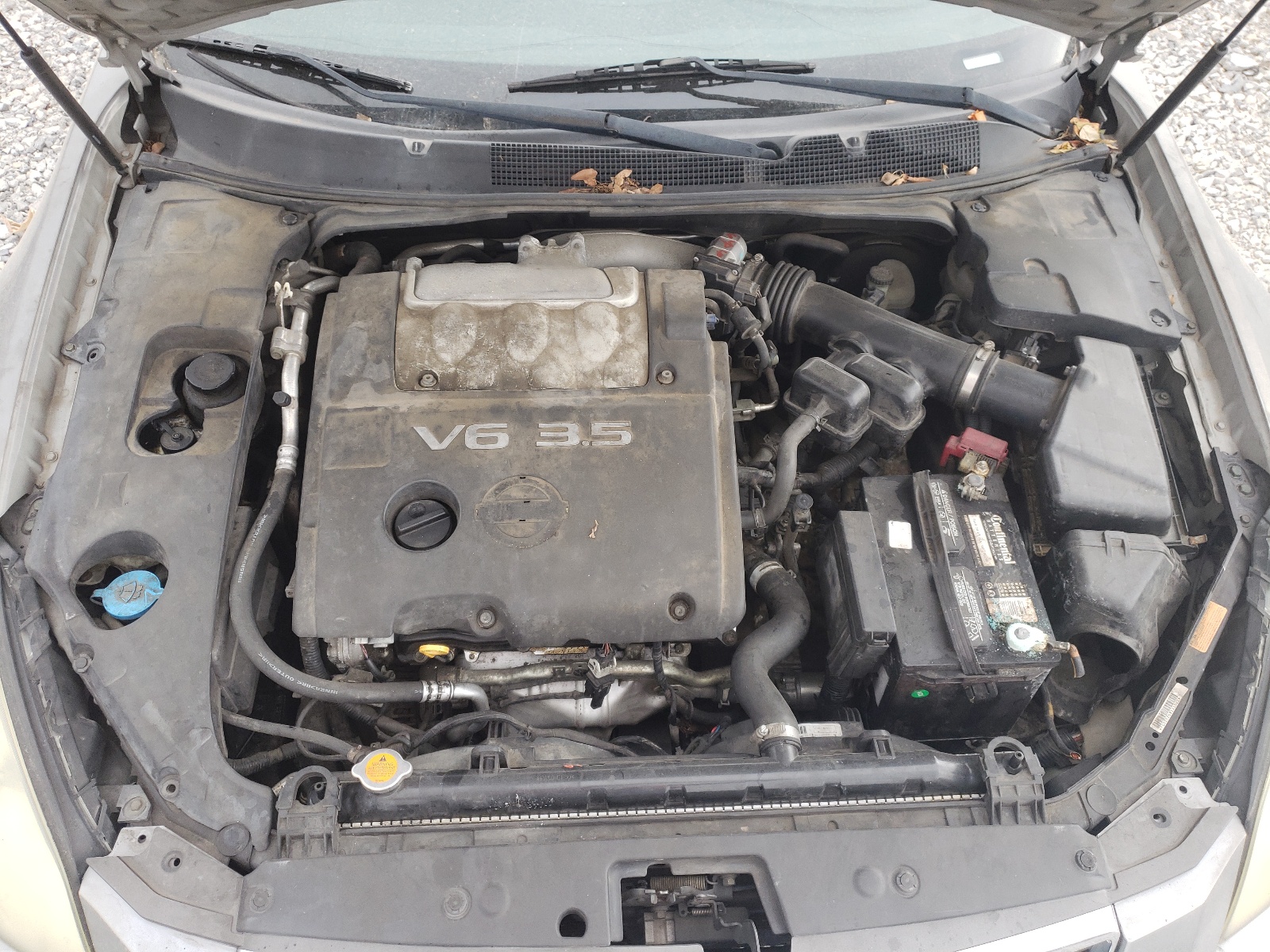 1N4BA41E47C831023 2007 Nissan Maxima Se