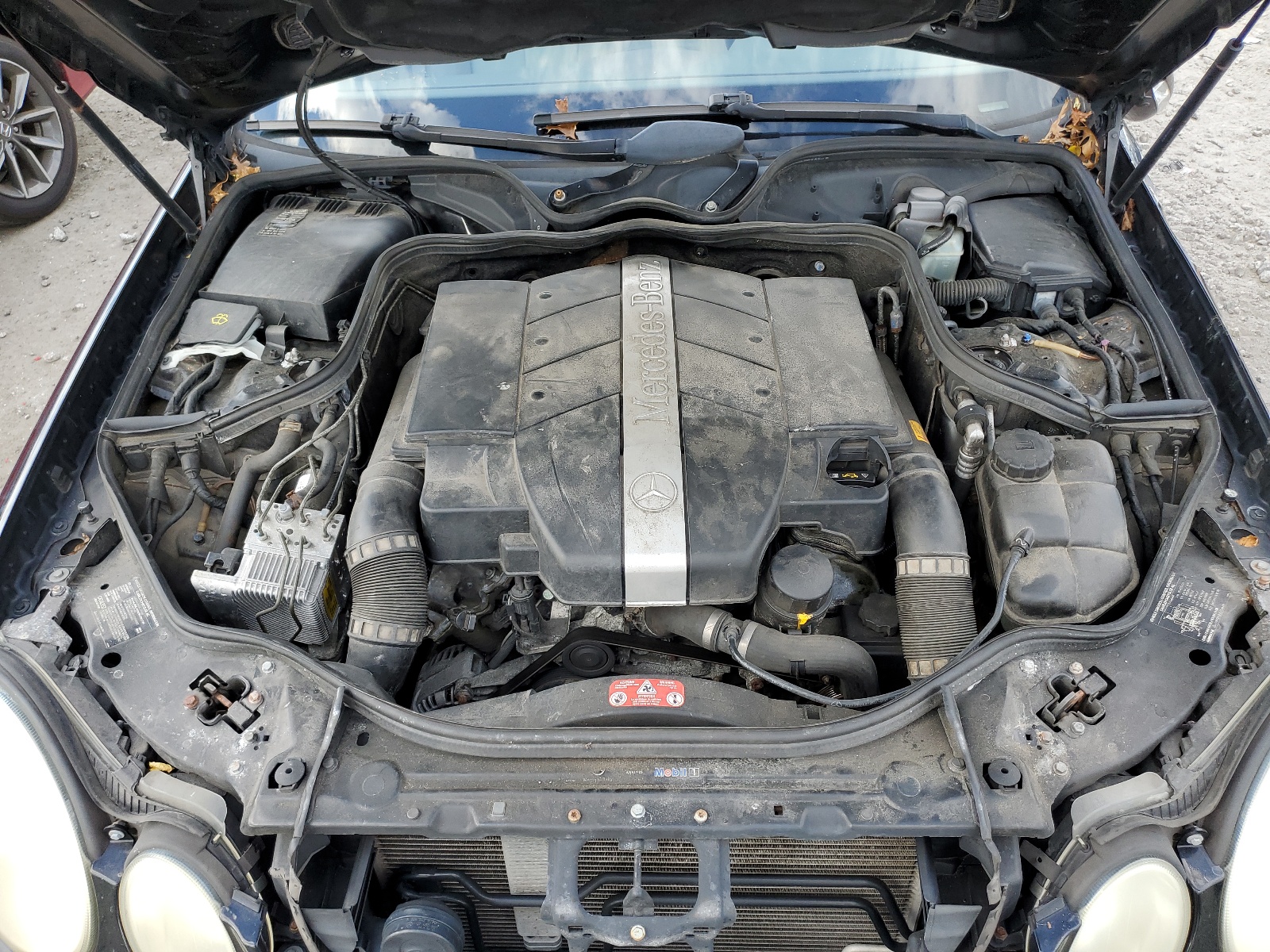 WDBUF82J94X117639 2004 Mercedes-Benz E 320 4Matic