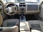 2008 Ford Escape Xlt zu verkaufen in Louisville, KY - Front End