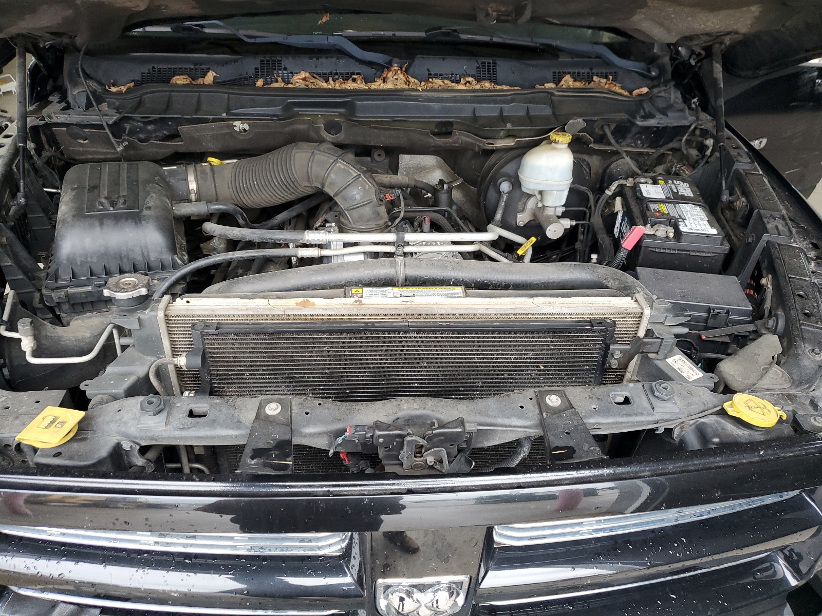 1D7RV1CT7BS576668 2011 Dodge Ram 1500