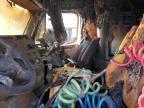 2014 Freightliner Cascadia 125  for Sale in Albuquerque, NM - Burn