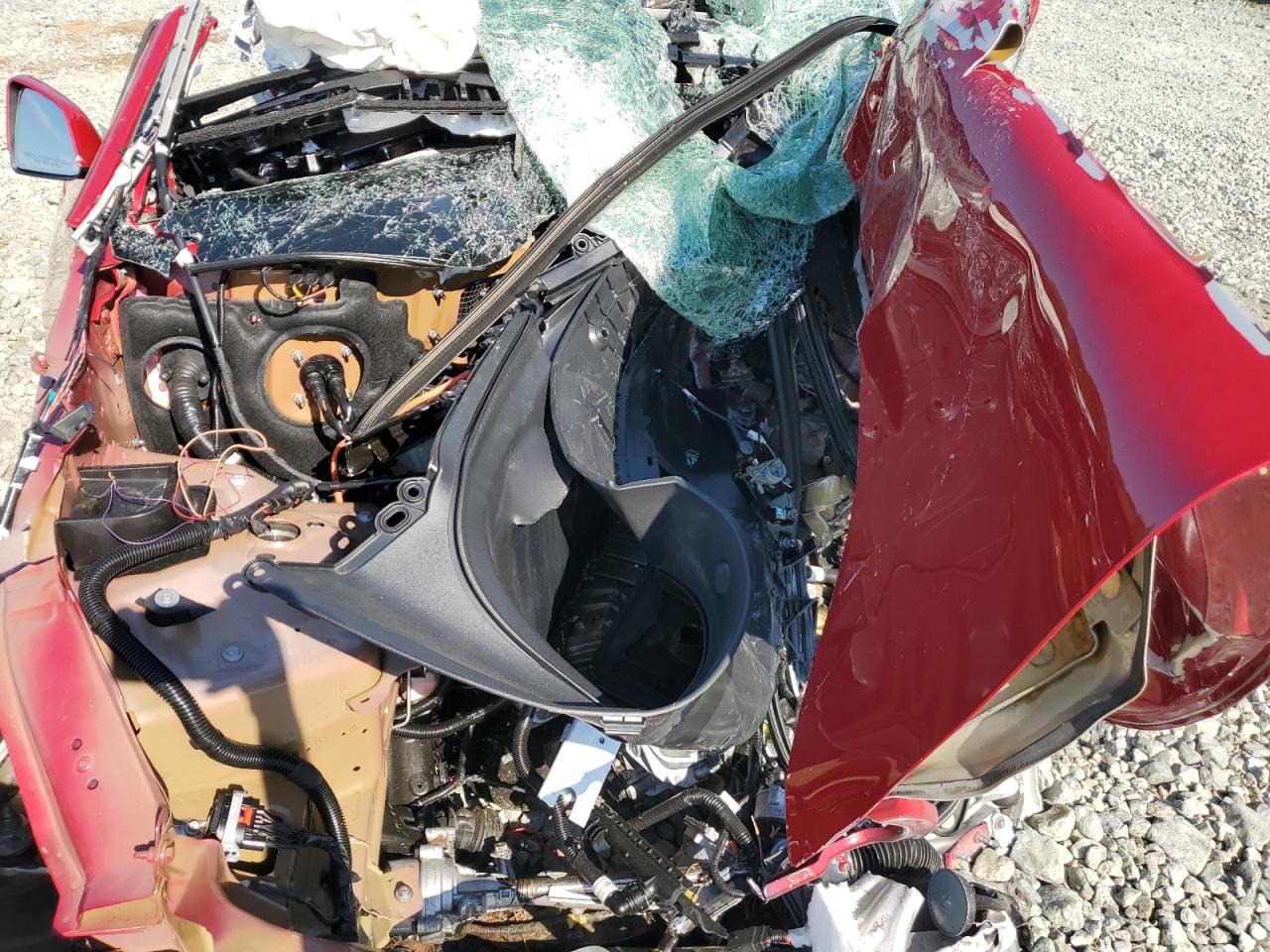 2023 Tesla Model Y VIN: 7SAYGDEE4PF709748 Lot: 71260973