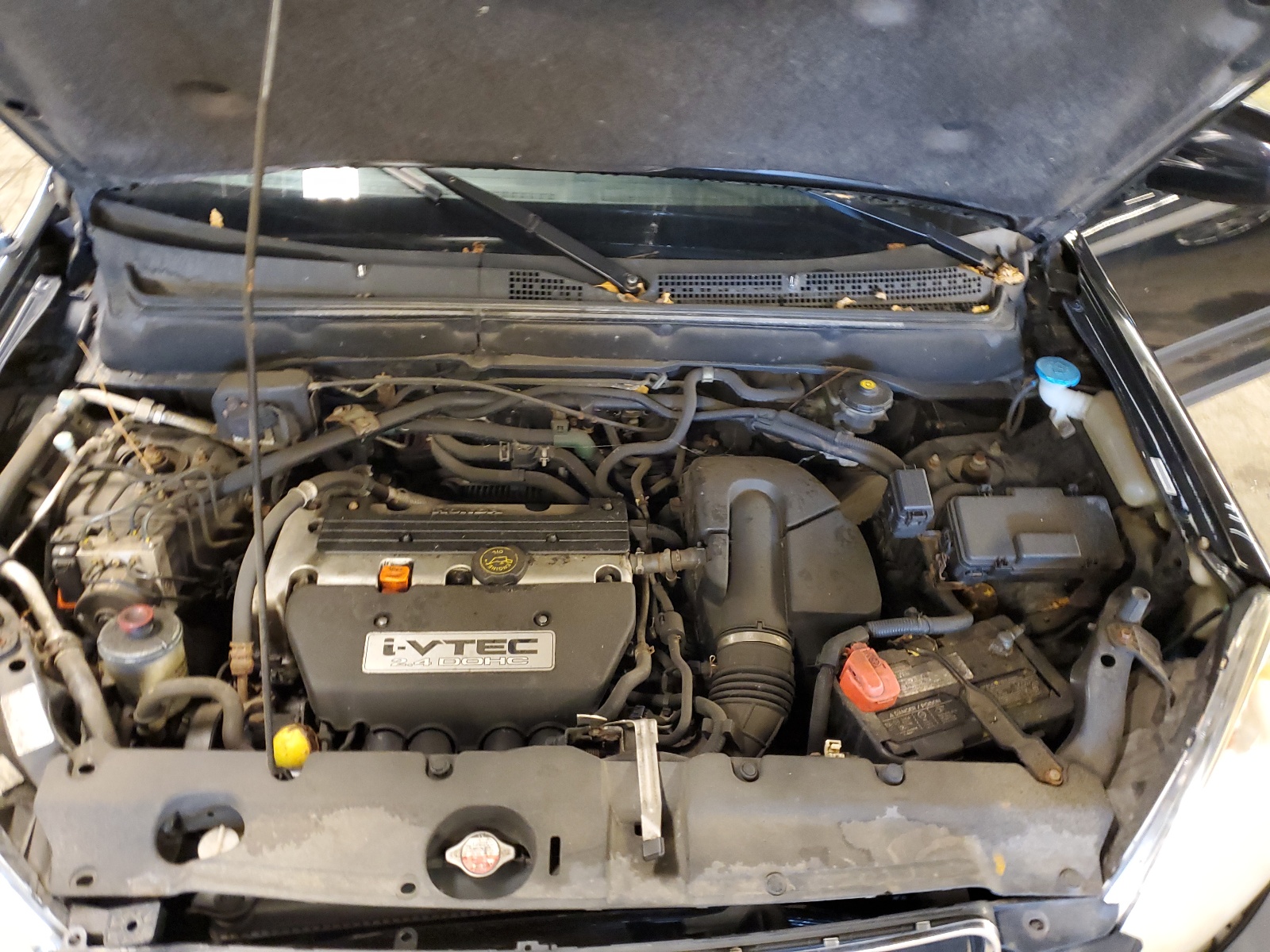 JHLRD78895C044683 2005 Honda Cr-V Ex