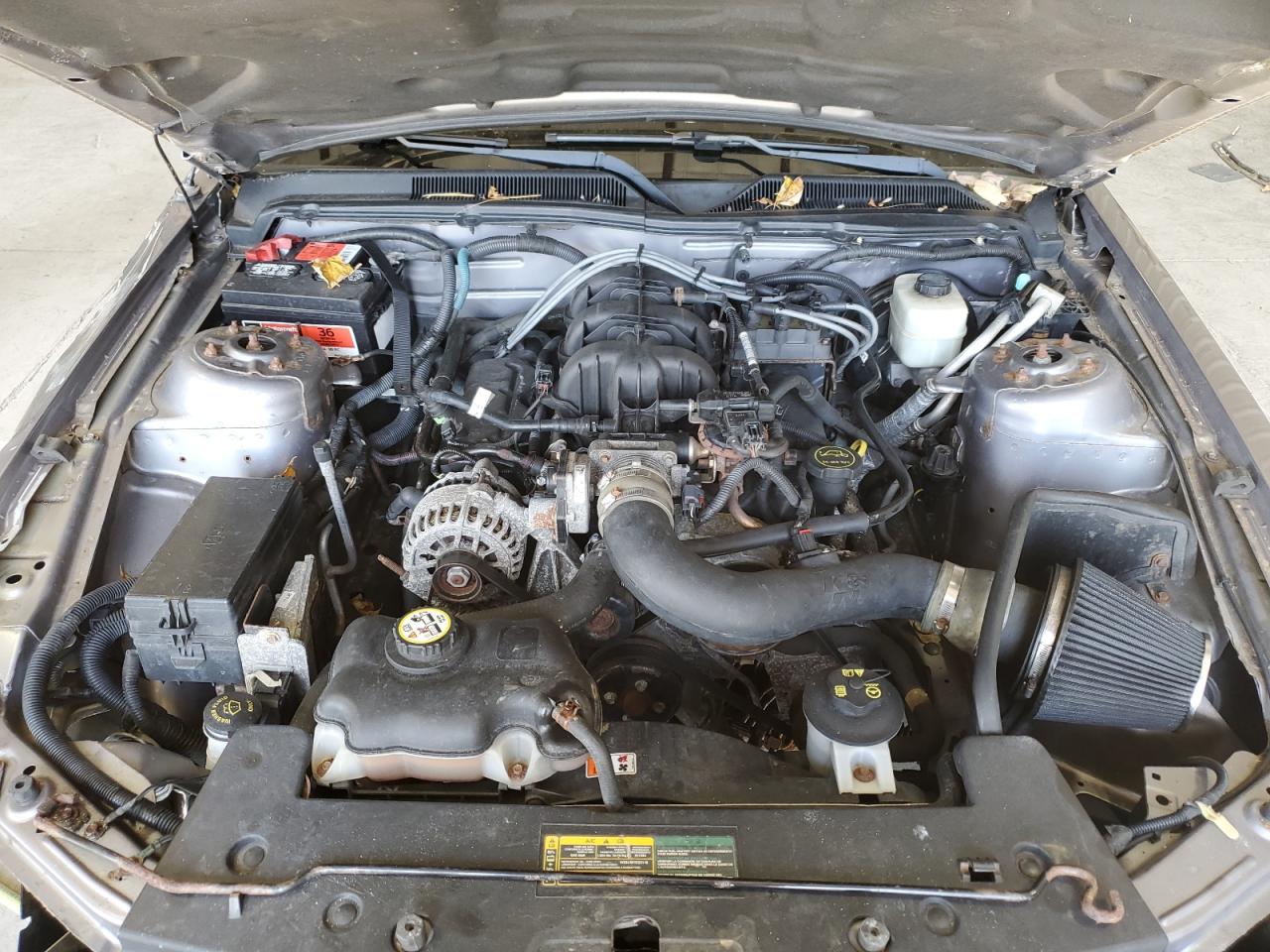 2007 Ford Mustang VIN: 1ZVFT80N975312324 Lot: 74127383