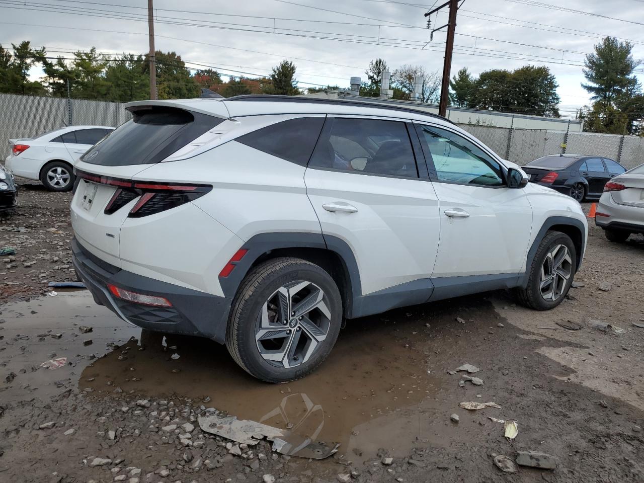 2022 Hyundai Tucson Limited VIN: 5NMJECAEXNH044046 Lot: 72536033