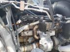 2022 Freightliner Cascadia 126  for Sale in Albany, NY - Front End