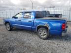 2007 DODGE DAKOTA QUAD for sale at Copart AB - EDMONTON