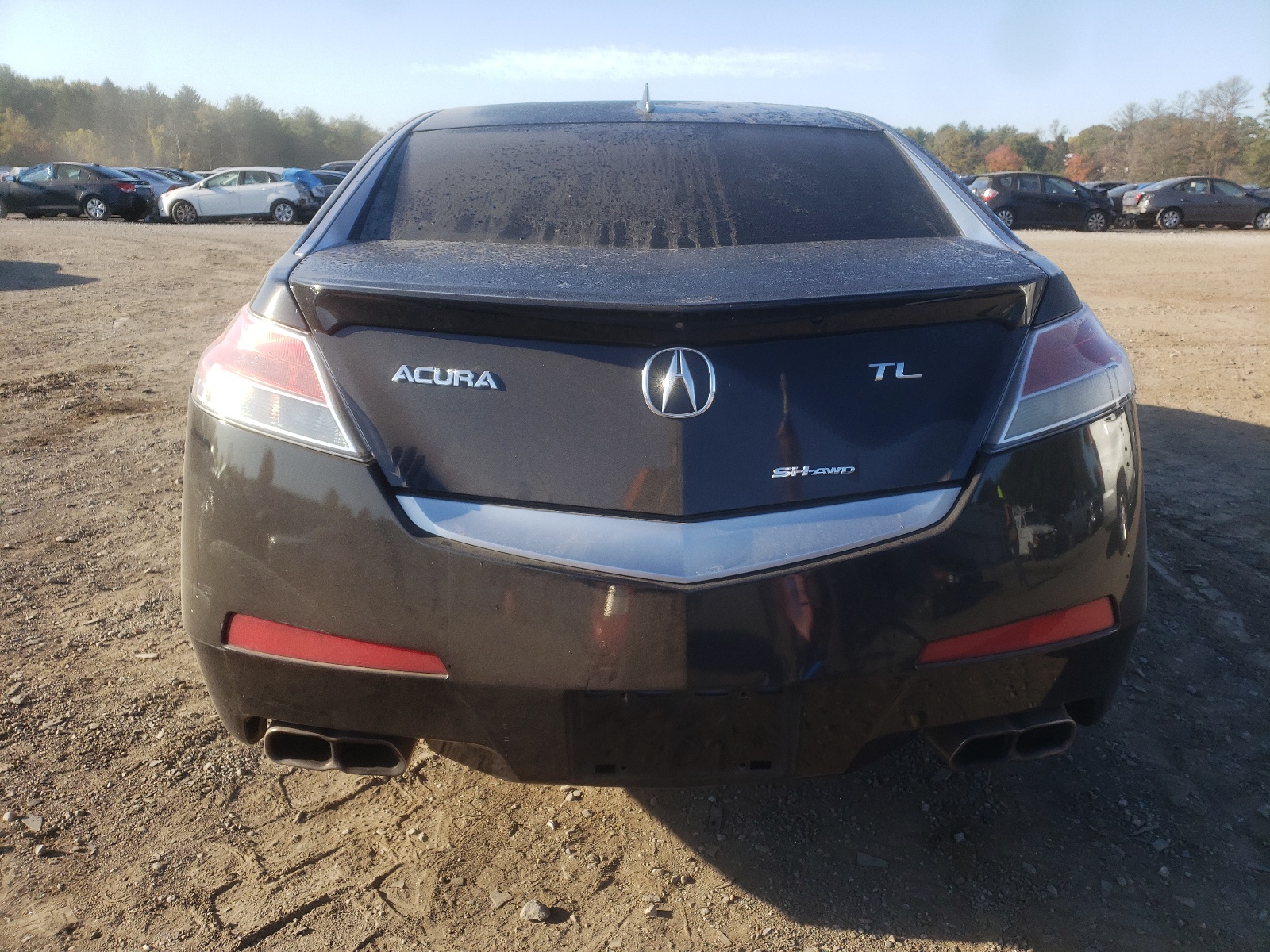 19UUA9F51AA000799 2010 Acura Tl