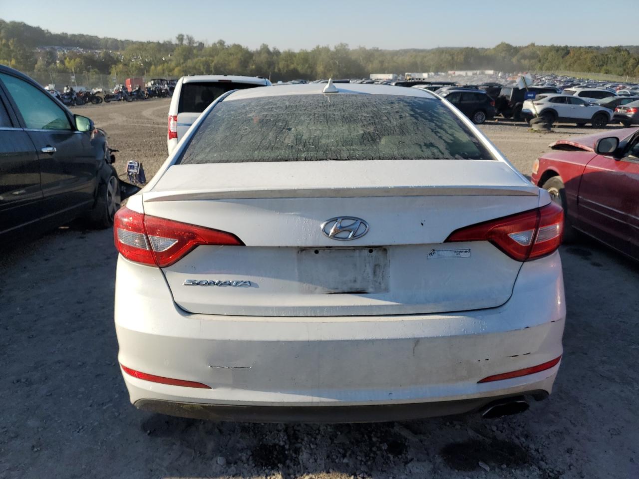 2016 Hyundai Sonata Se VIN: 5NPE24AF2GH303773 Lot: 74688944