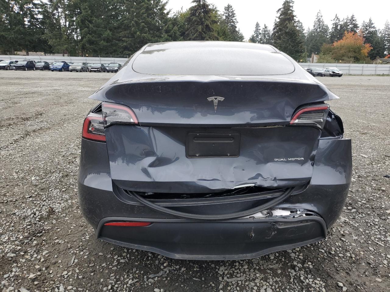 2022 Tesla Model Y VIN: 7SAYGAEE4NF569924 Lot: 76127124