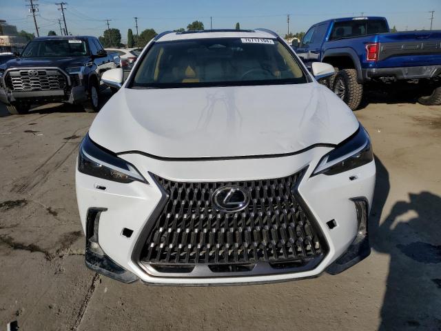  LEXUS NX 250 PRE 2024 Белый