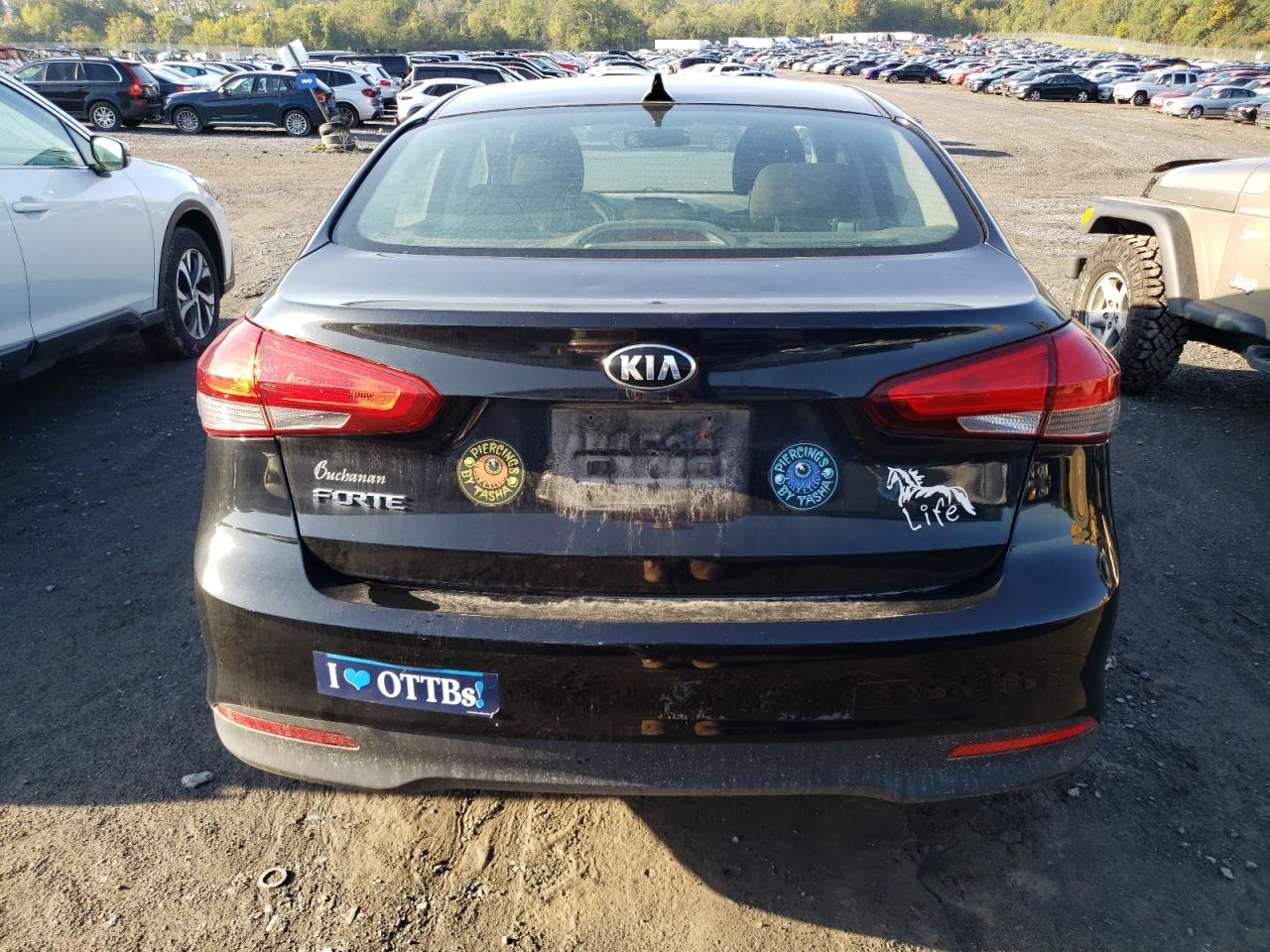 2017 Kia Forte Lx VIN: 3KPFK4A75HE083337 Lot: 74687554