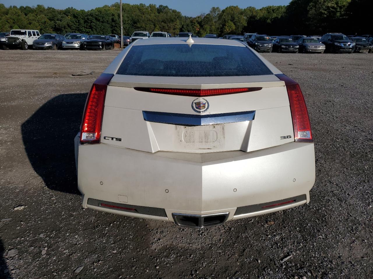 2012 Cadillac Cts VIN: 1G6DA1E37C0113328 Lot: 73697604