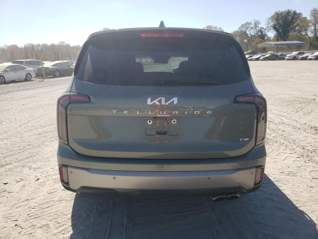 2023 Kia Telluride Ex VIN: 5XYP3DGCXPG360507 Lot: 77245014