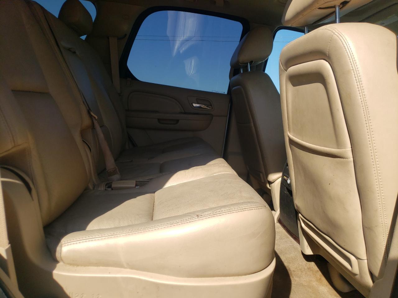 2010 Cadillac Escalade Hybrid VIN: 1GYUKEEJ7AR197833 Lot: 74075954