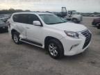 2018 Lexus Gx 460 for Sale in Madisonville, TN - Side