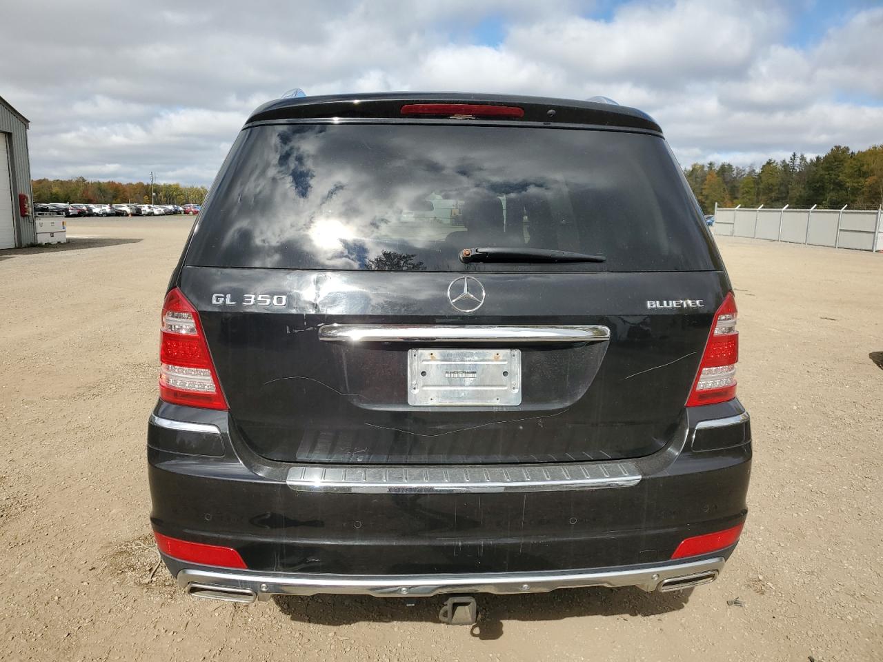 2010 Mercedes-Benz Gl 350 Bluetec VIN: 4JGBF2FE4AA538469 Lot: 75174524