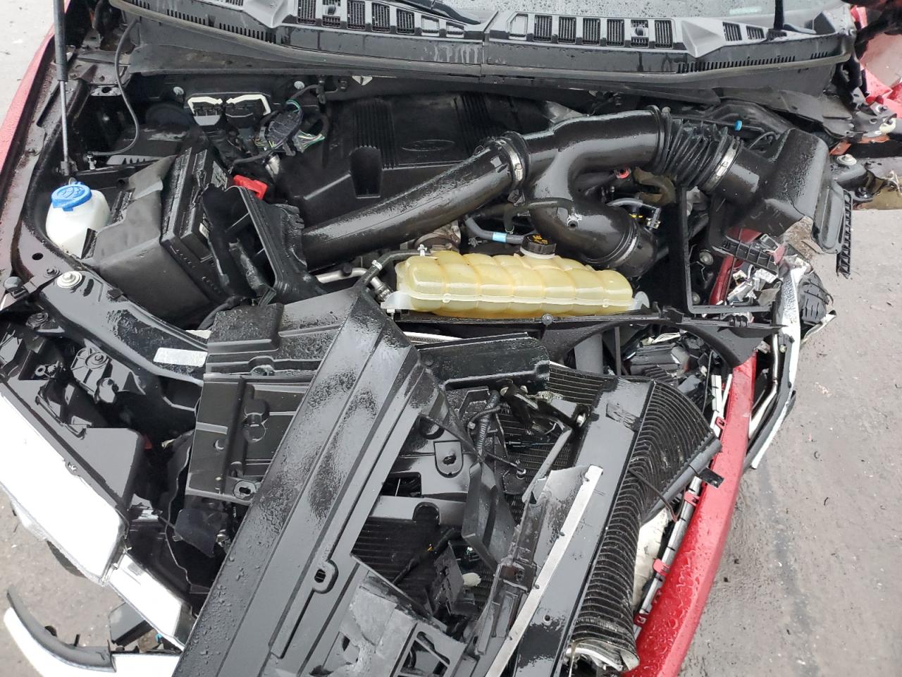 1FTFW1E49KKD47571 2019 Ford F150 Supercrew