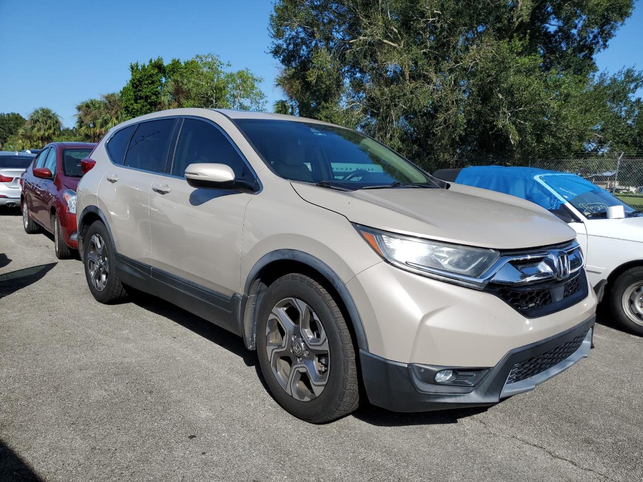 2019 Honda CR-V - Image 4