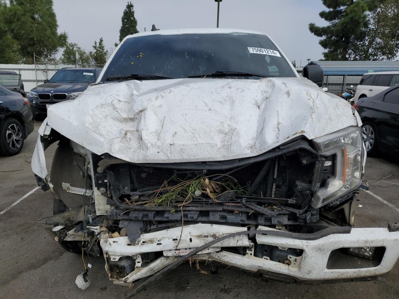 2019 Ford F-150 - Image 5