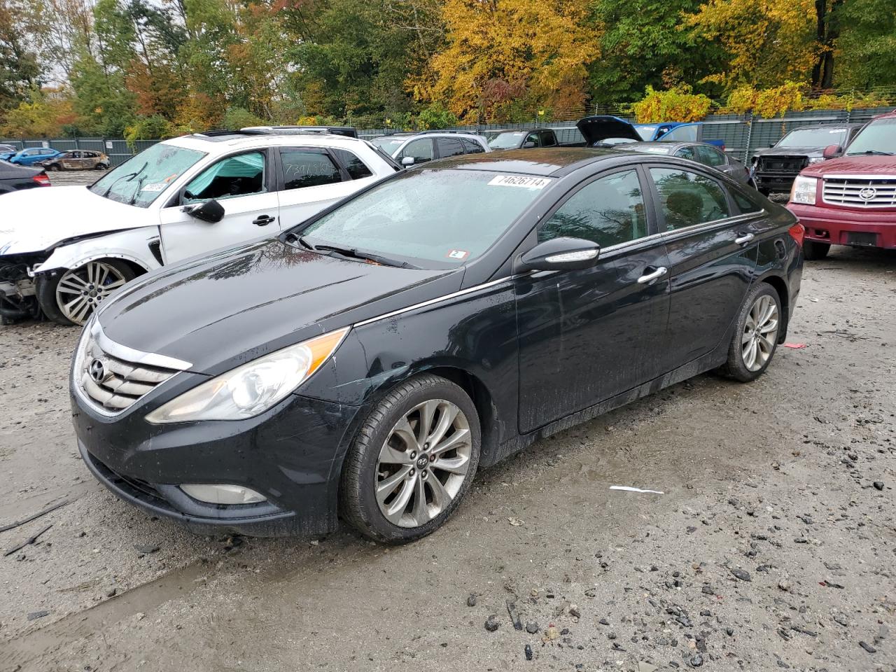 5NPEC4AB6DH541647 2013 Hyundai Sonata Se