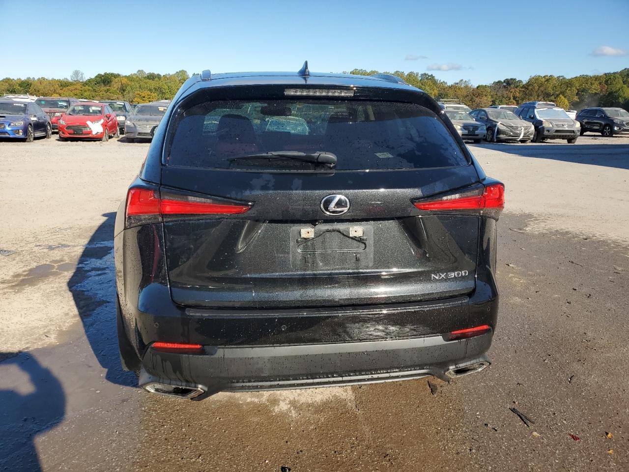 2021 Lexus Nx 300 Base VIN: JTJDARDZ3M5030059 Lot: 75227784