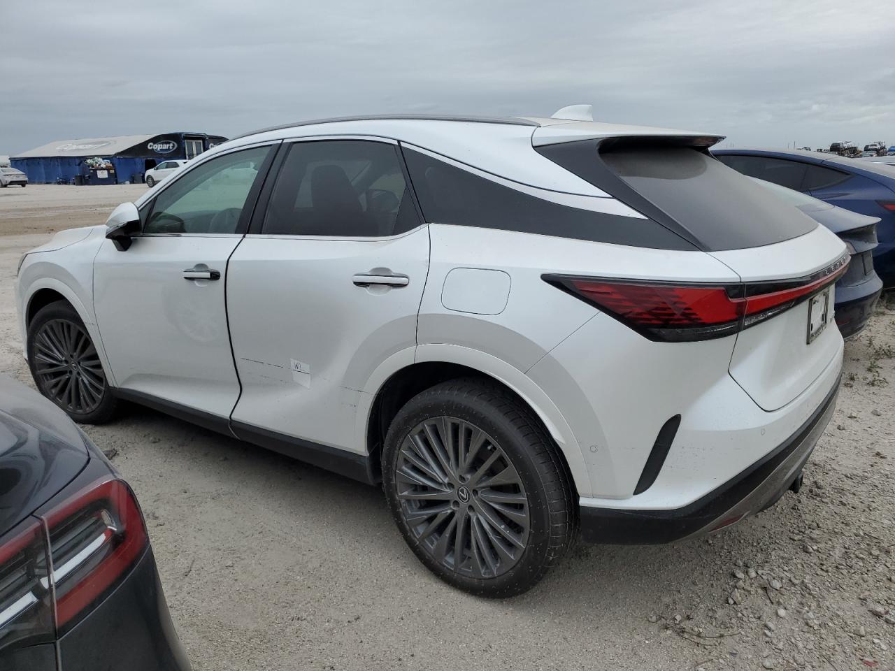 2024 Lexus RX - Image 2
