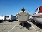 1992 Sea Ray Boat იყიდება Woodhaven-ში, MI - Water/Flood