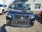 2023 LEXUS GX 460   for sale at Copart QC - MONTREAL