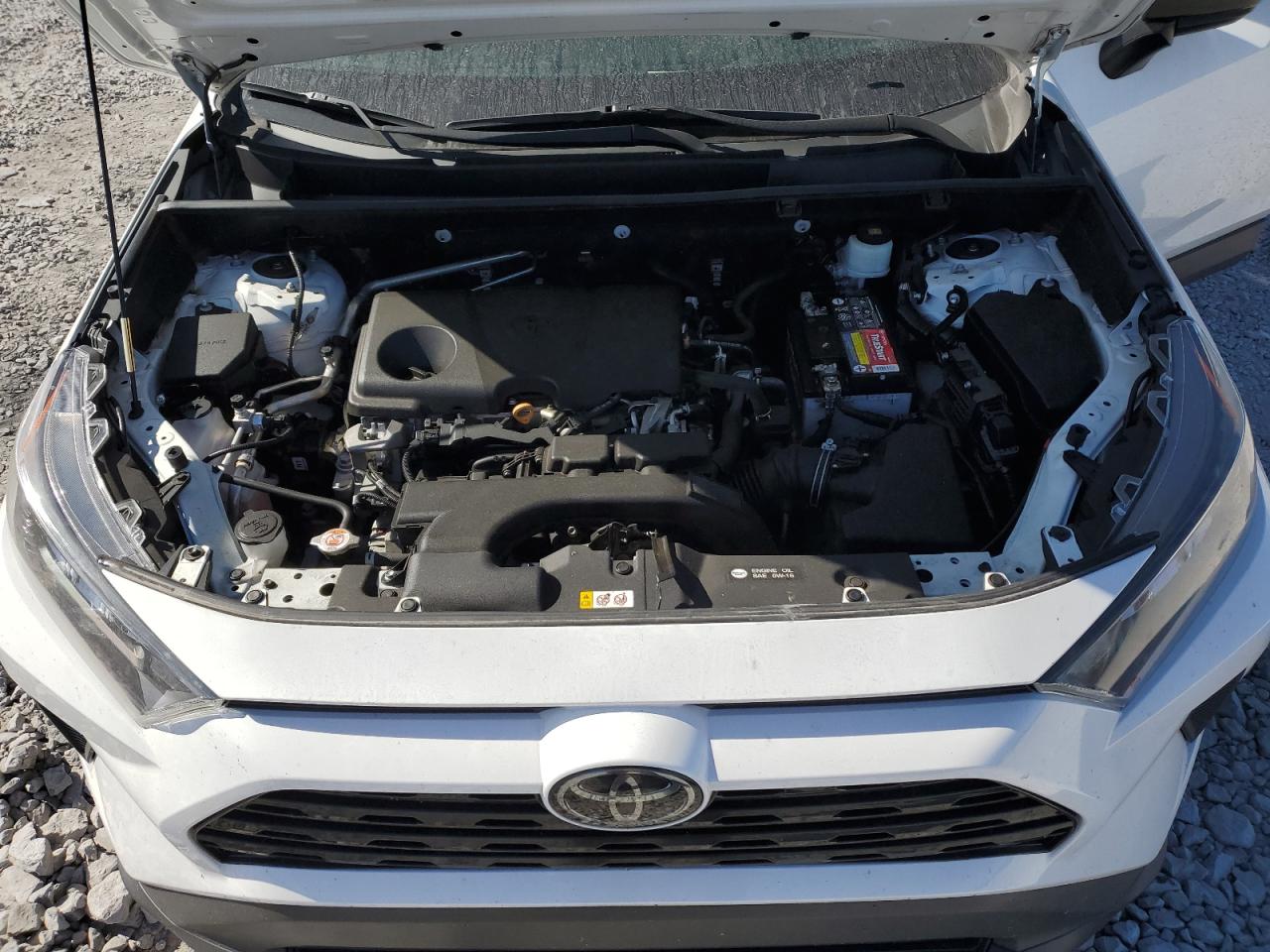 2T3H1RFV9KW050000 2019 Toyota Rav4 Le