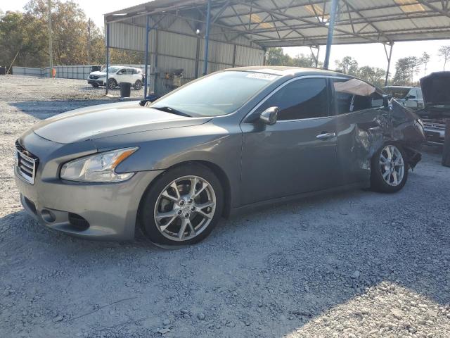  NISSAN MAXIMA 2014 Szary