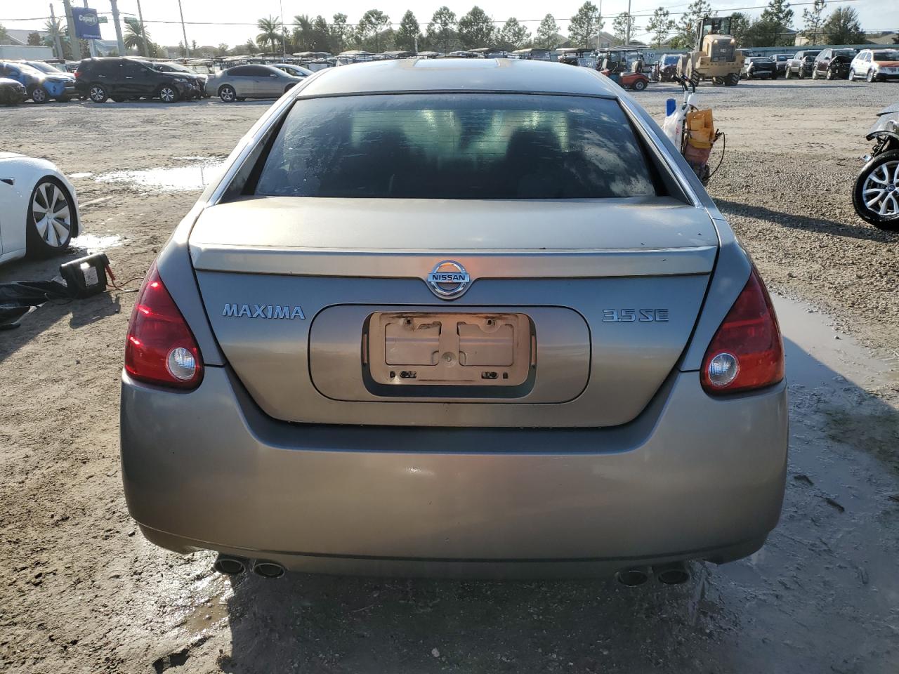 2006 Nissan Maxima Se VIN: 1N4BA41E16C853883 Lot: 77401494