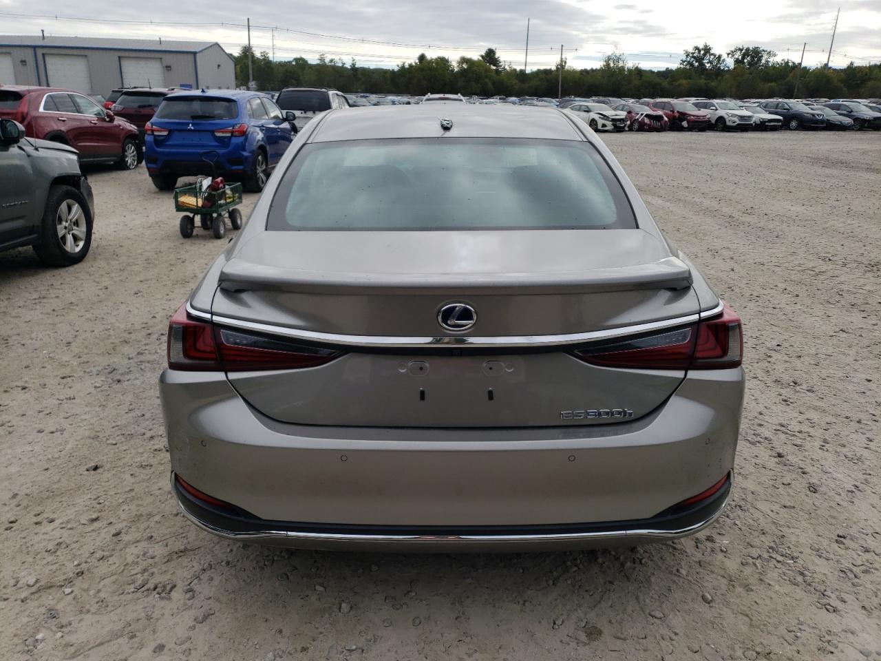 2021 Lexus Es 300H Luxury VIN: 58AEA1C10MU006039 Lot: 74266414