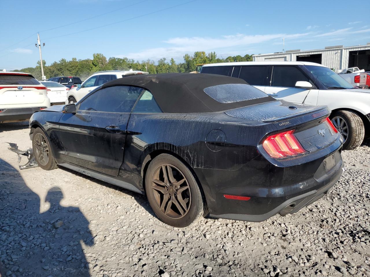 2018 Ford Mustang VIN: 1FATP8UH3J5143199 Lot: 74276074