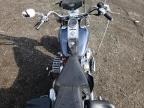 2003 Harley-Davidson Flstfi  for Sale in New Britain, CT - Front End