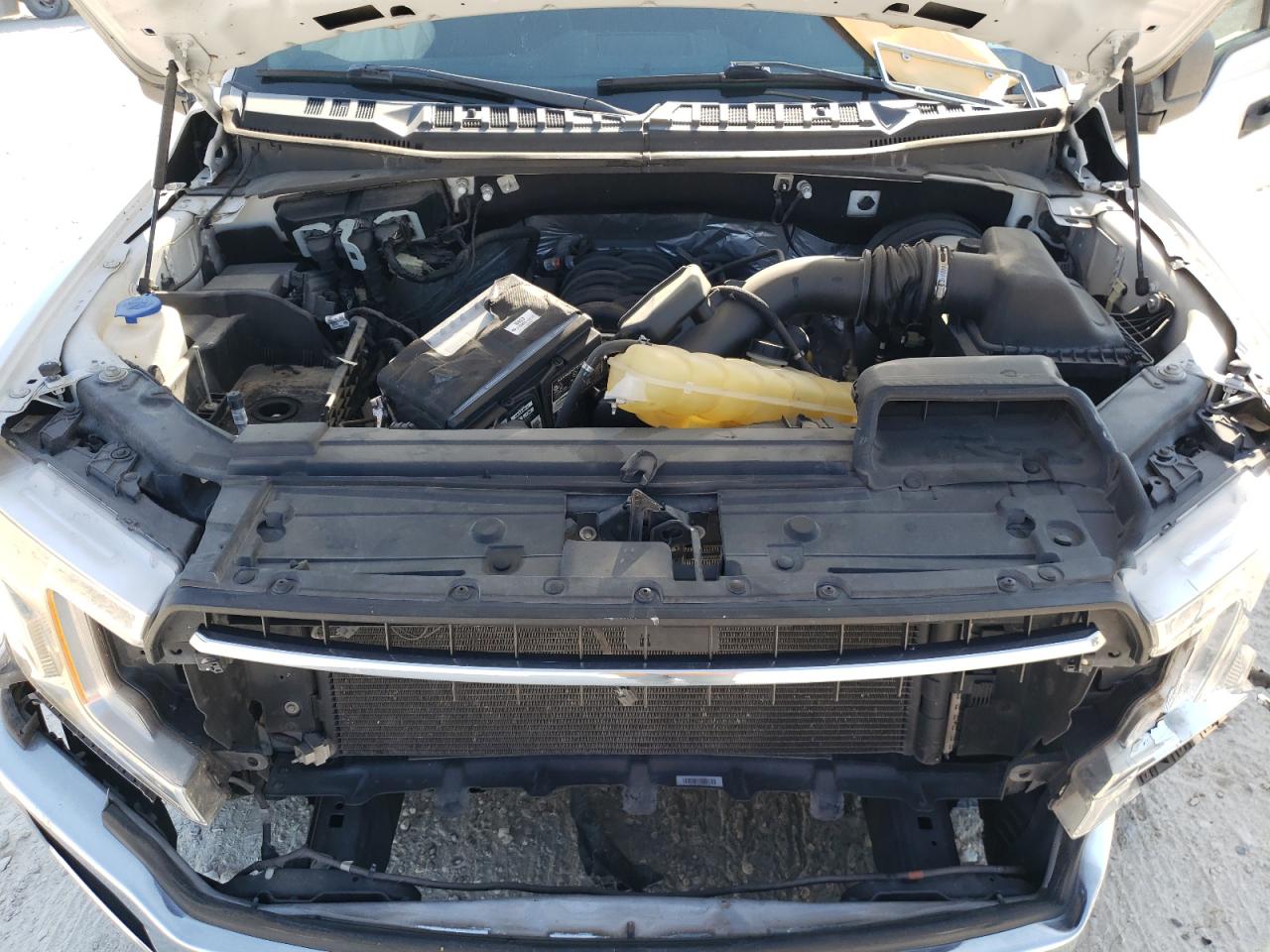 1FTMF1C52KKD38486 2019 Ford F150