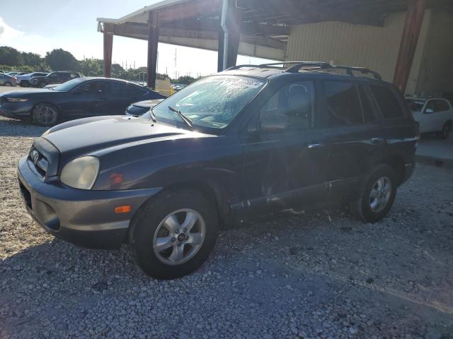 2006 Hyundai Santa Fe Gls