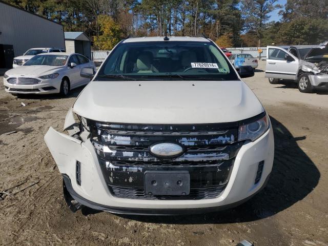  FORD EDGE 2013 Білий