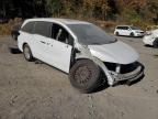 2021 Honda Odyssey Exl for Sale in Marlboro, NY - Stripped