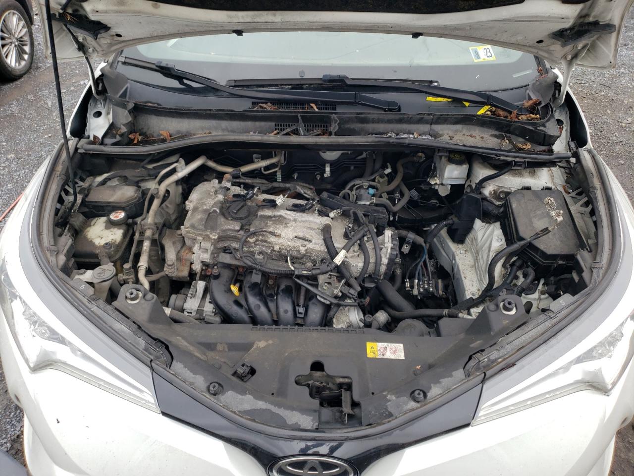 JTNKHMBX0K1027274 2019 Toyota C-Hr Xle