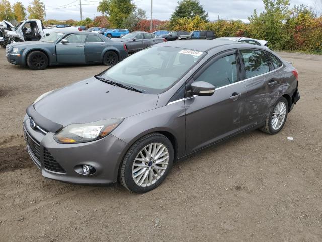 Sedans FORD FOCUS 2013 Gray