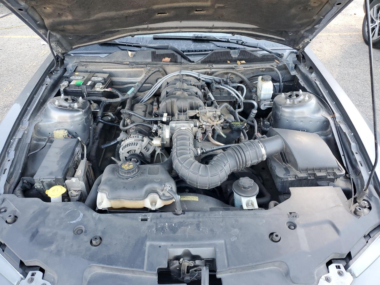 2010 Ford Mustang VIN: 1ZVBP8AN9A5147836 Lot: 75285574