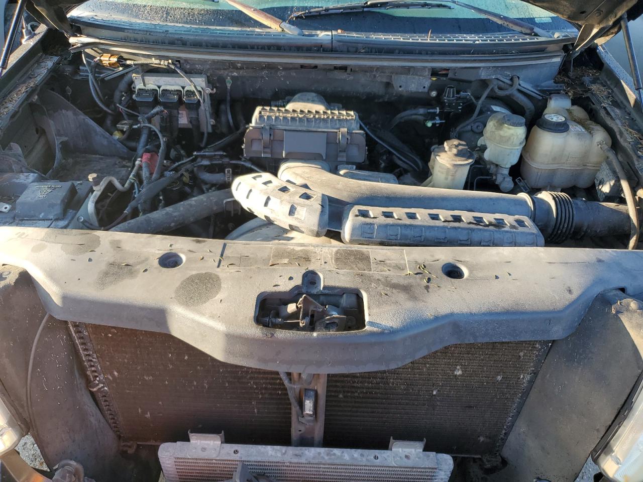 2005 Ford F150 Supercrew VIN: 1FTPW12555FA64017 Lot: 74206414