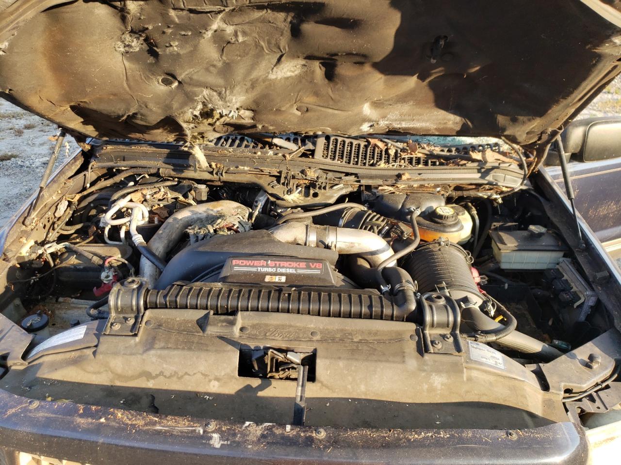 2003 Ford Excursion Eddie Bauer VIN: 1FMSU45P23ED13659 Lot: 94308645