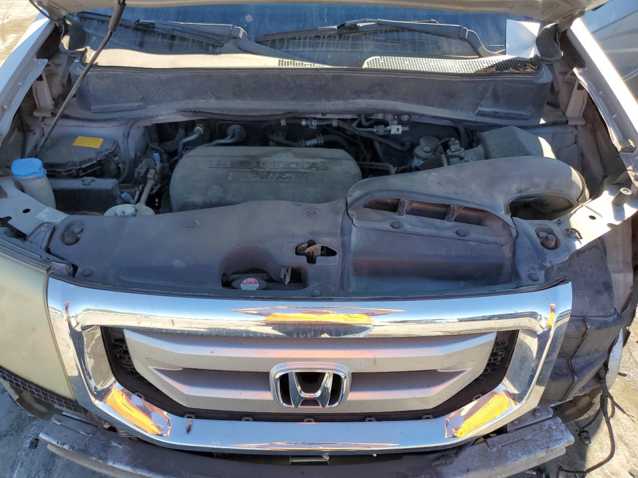 5FNYF38629B002455 2009 Honda Pilot Exl