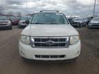 2010 Ford Escape Xlt   na sprzedaż w Davison, MI - Minor Dent/Scratches
