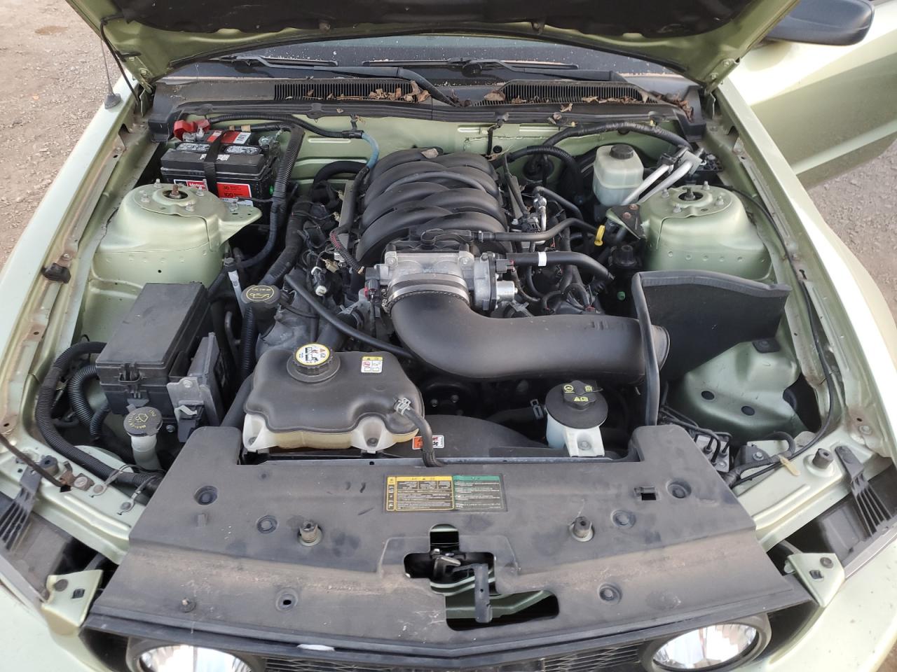 2006 Ford Mustang Gt VIN: 1ZVFT82H765165135 Lot: 75311234