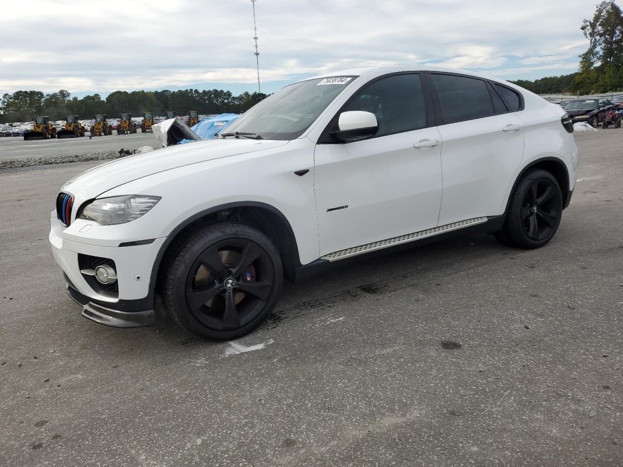 2011 BMW X6 xDrive50I VIN: 5UXFG8C51BLZ96811 Lot: 75038764