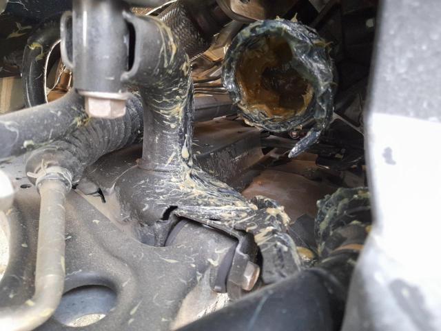 JE4LSW140RZ705701 - 2024 MITSUBISHI ECLIPSE CR - #undefined