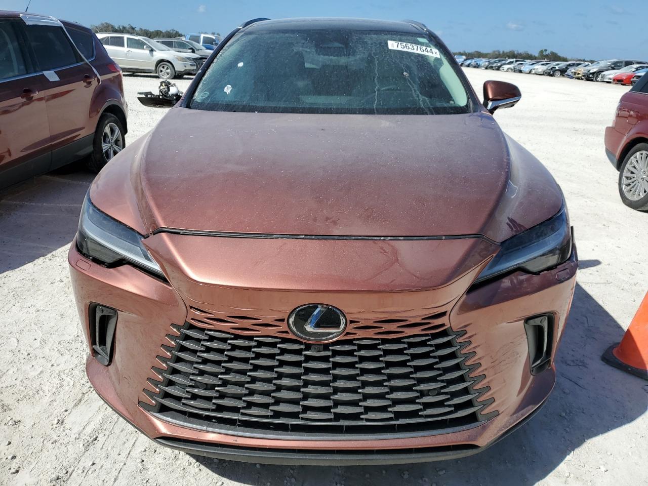 2024 Lexus RX - Image 5